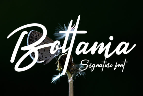 Boltania: A Light Handwritten Font for Luxury Branding