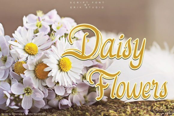 Daisy Flowers: A Romantic Script Typeface for Web Design