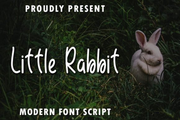 Little Rabbit Font: A Web Designer’s Review