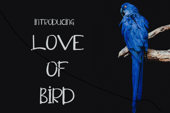 Love of Bird Font: A Sweet Typeface for Branding