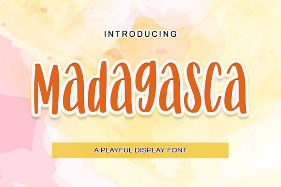 Madagasca: A Designer’s Honest Review