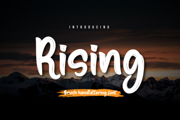 Rising: A Designer’s Take on Script Amp’s Latest Release