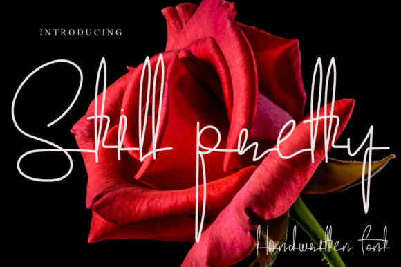 Still Pretty Font: A Maker’s Guide to Elegant Script Typography